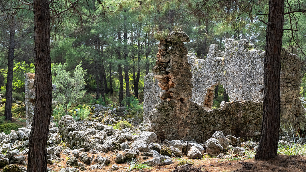 Некогда главным назначением древнего города служило производство оливкового масла