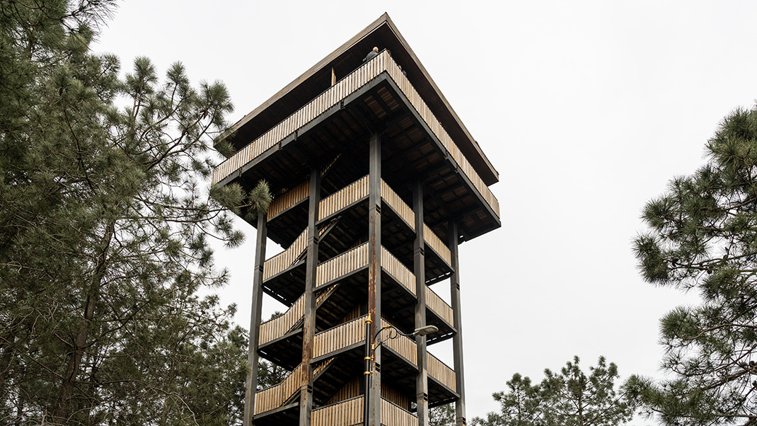 Viewing platform in the forest