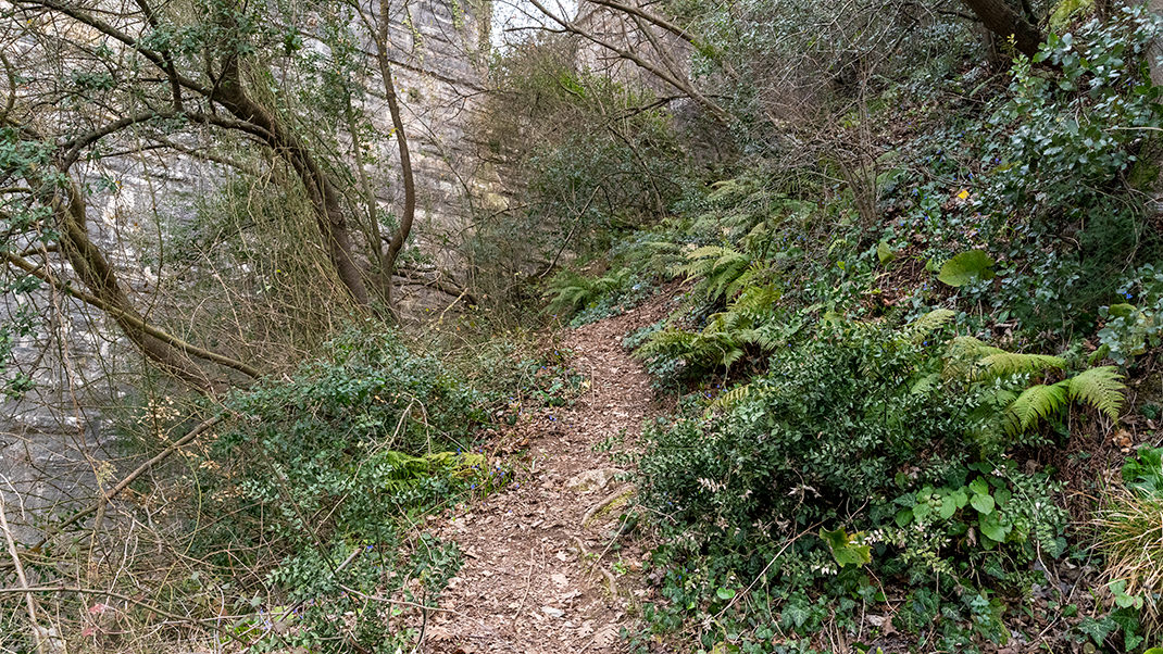 Path to the hilltop
