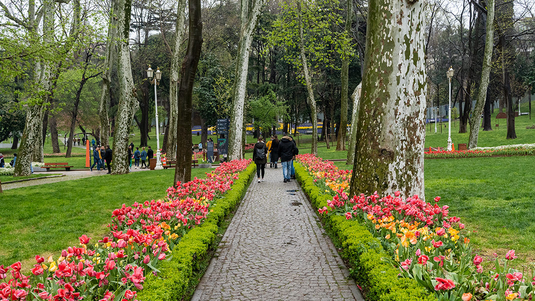 Парк Гюльхане в Стамбуле