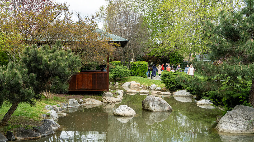 Admission to the territory of the Japanese Garden in Istanbul is free
