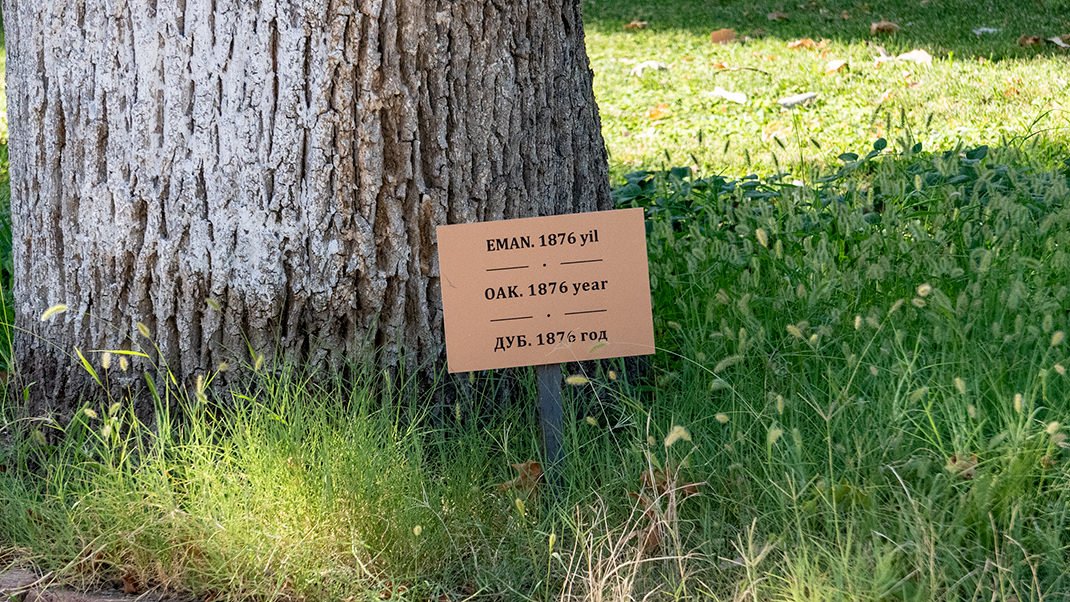 The plaque by the oak tree